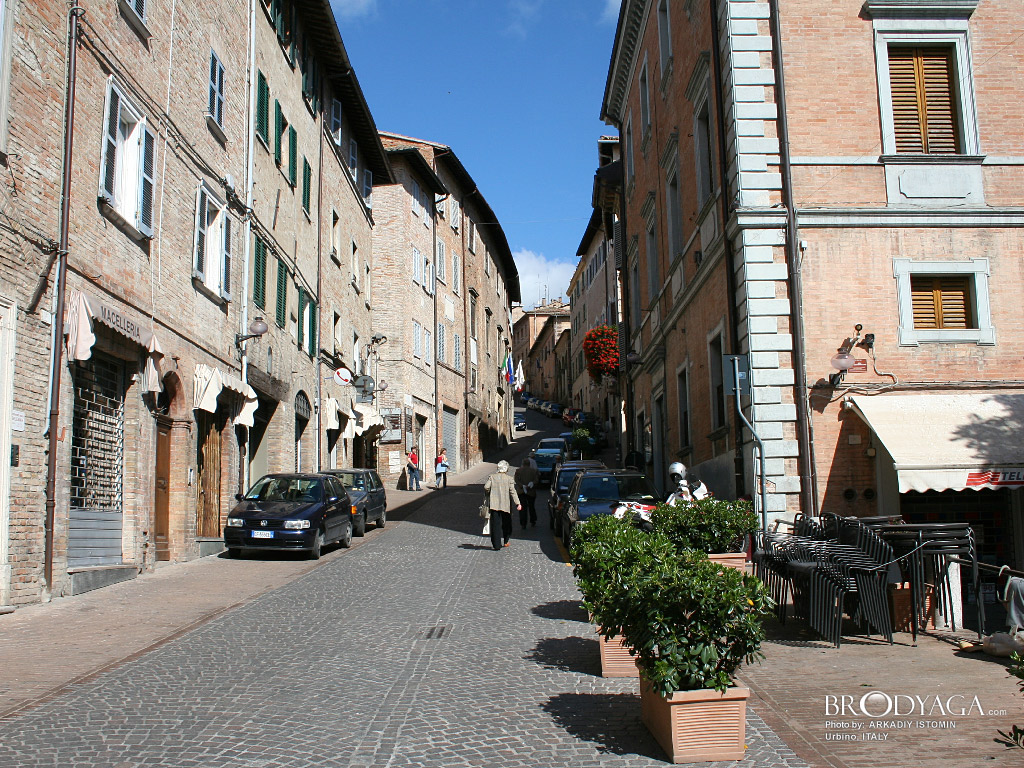 Urbino
